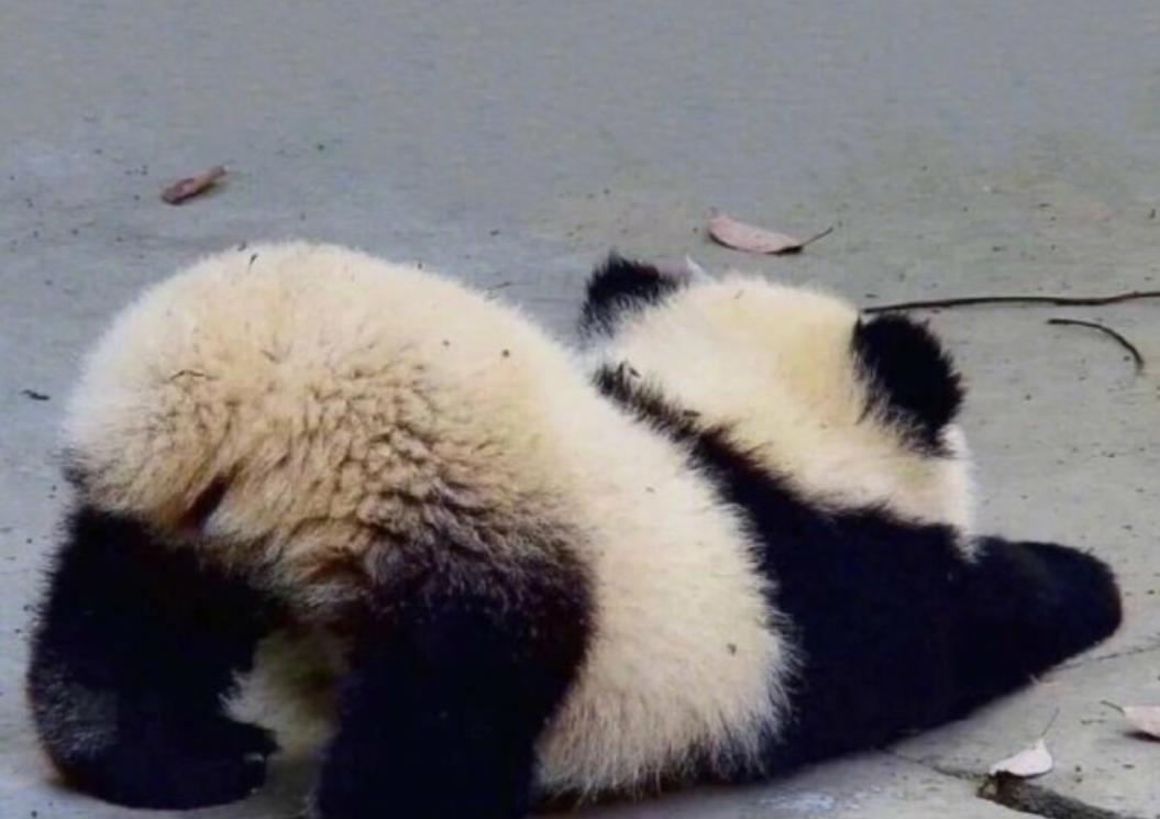 18个有意思的冷知识,36个有趣的冷知识