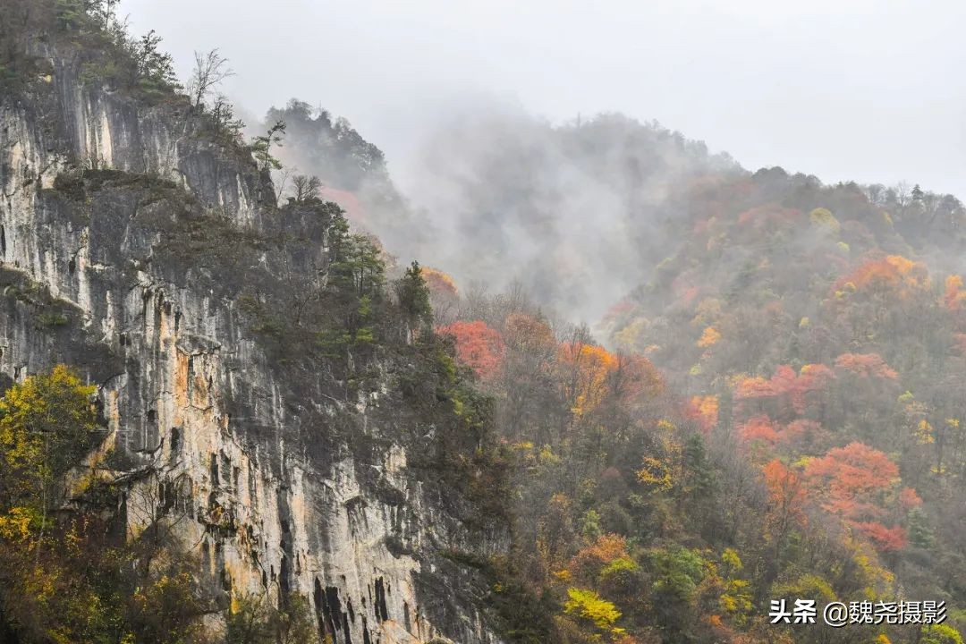 留坝秦岭之夜,留坝秦岭森林公园