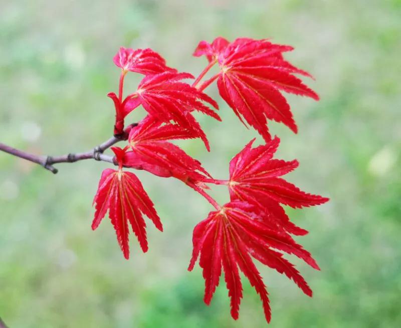 2022年世界手机摄影大赛征稿,手拍世界摄影网