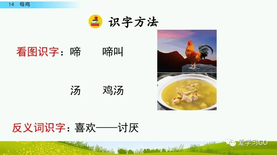四年级下册语文母鸡课文重点讲解,四年级下册语文14课母鸡重点知识
