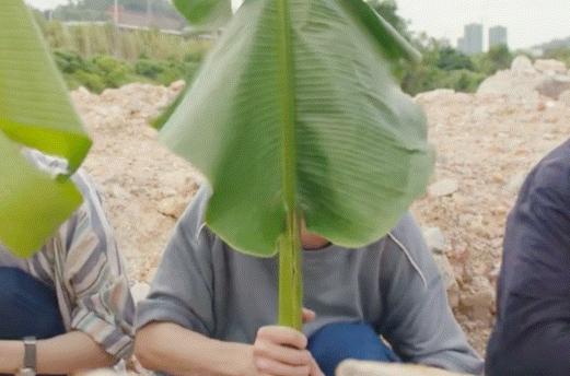 穿越火线悬疑片,披着游戏外衣的电影