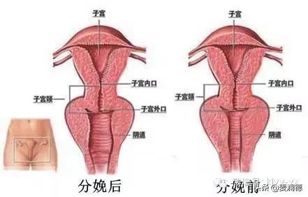 产后困扰你的问题,产后生活的柴米油盐