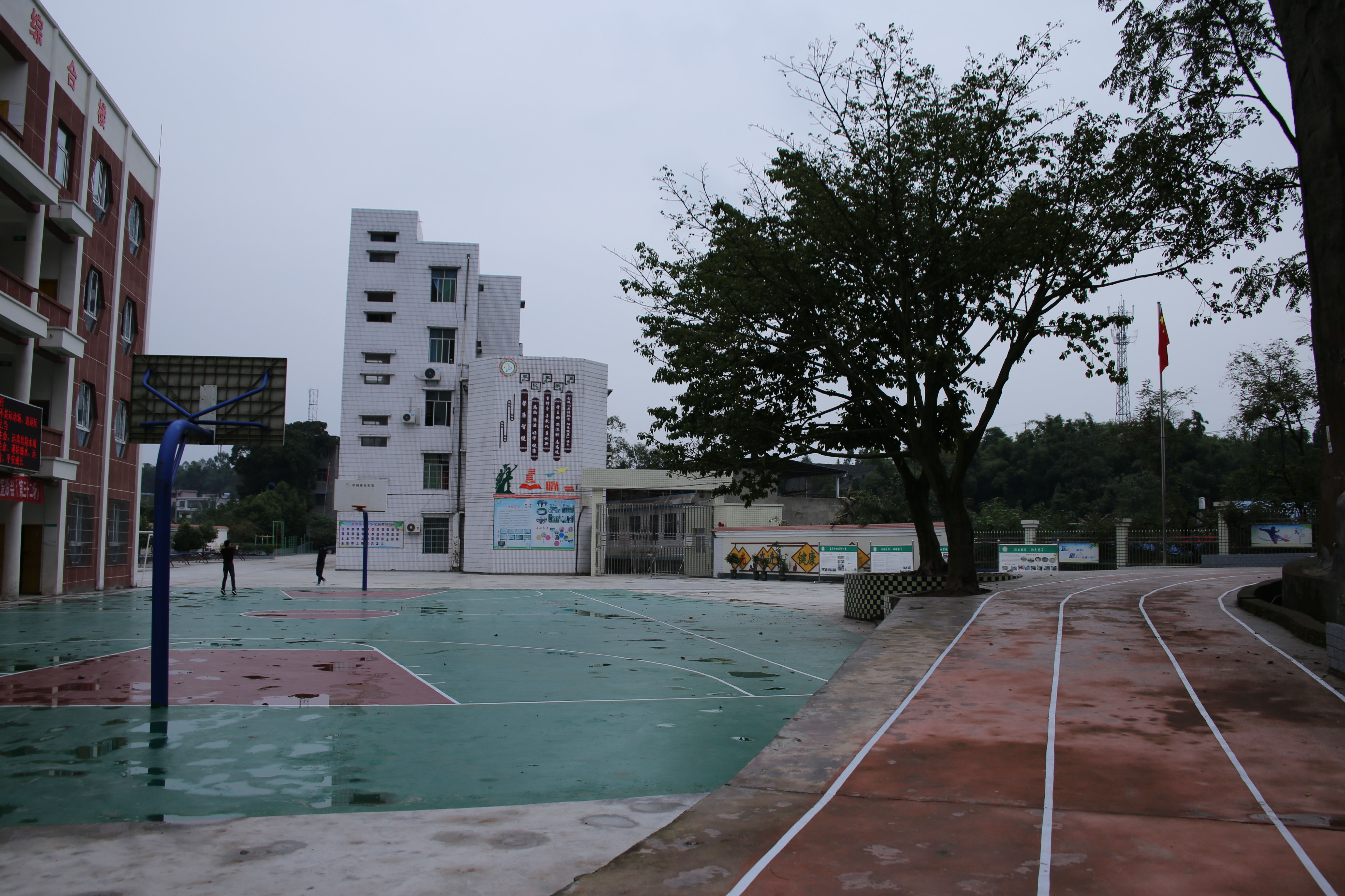 广安消失的公社--保华公社