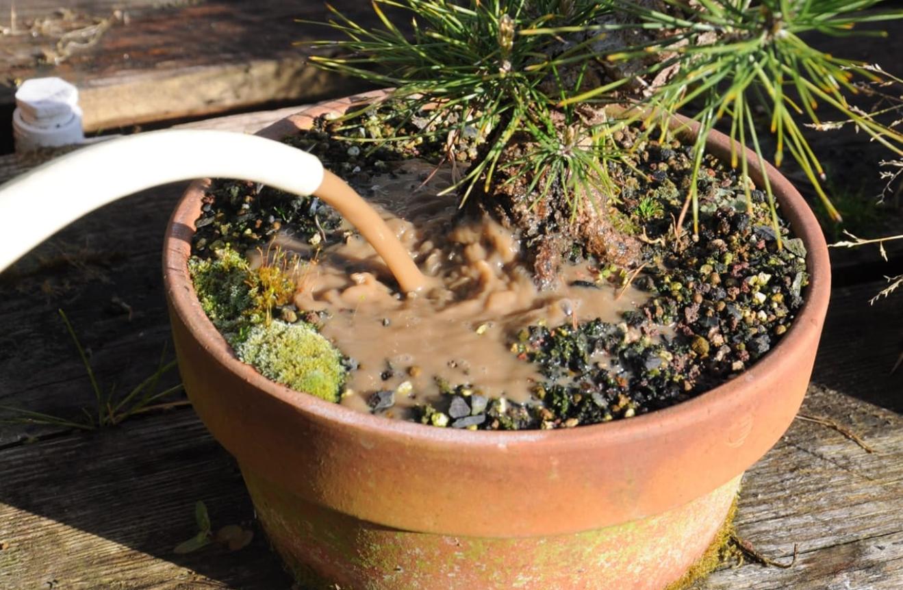 土壤贫瘠怎么办,土壤很湿怎么施肥