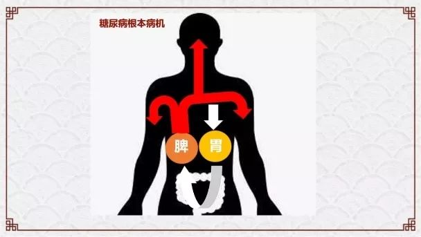 肿瘤与糖尿病——浅谈中医的认识学（诺贝尔奖医学峰会实录）