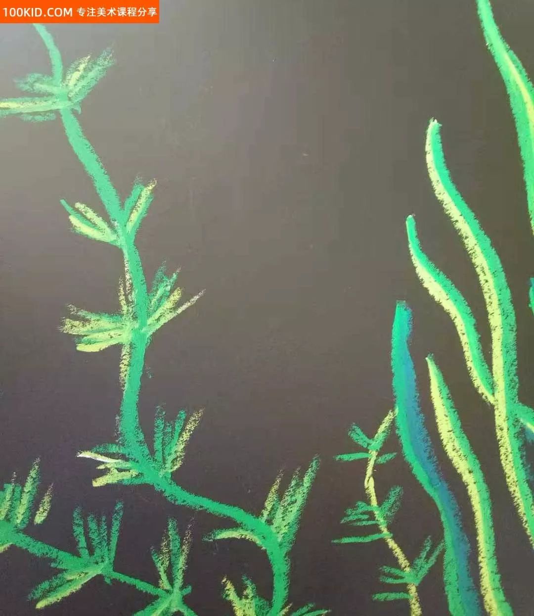 热带鱼怎么画线描图文,彩铅画观赏鱼