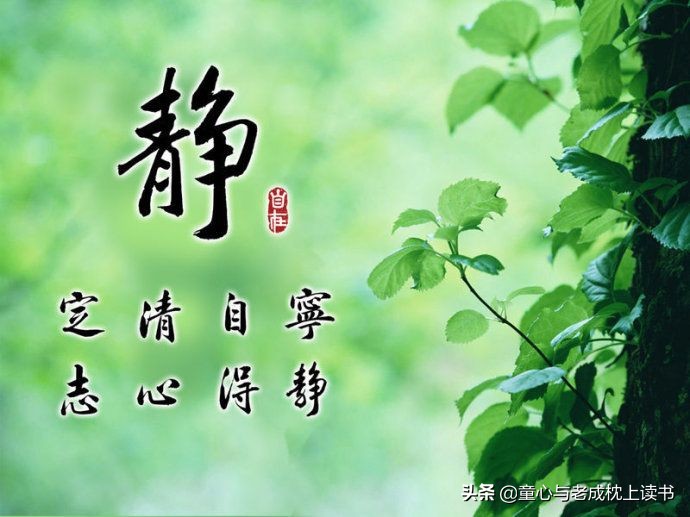 《抬高房梁，木匠们；西摩：小传》，如何在俗世中过隐居生活？