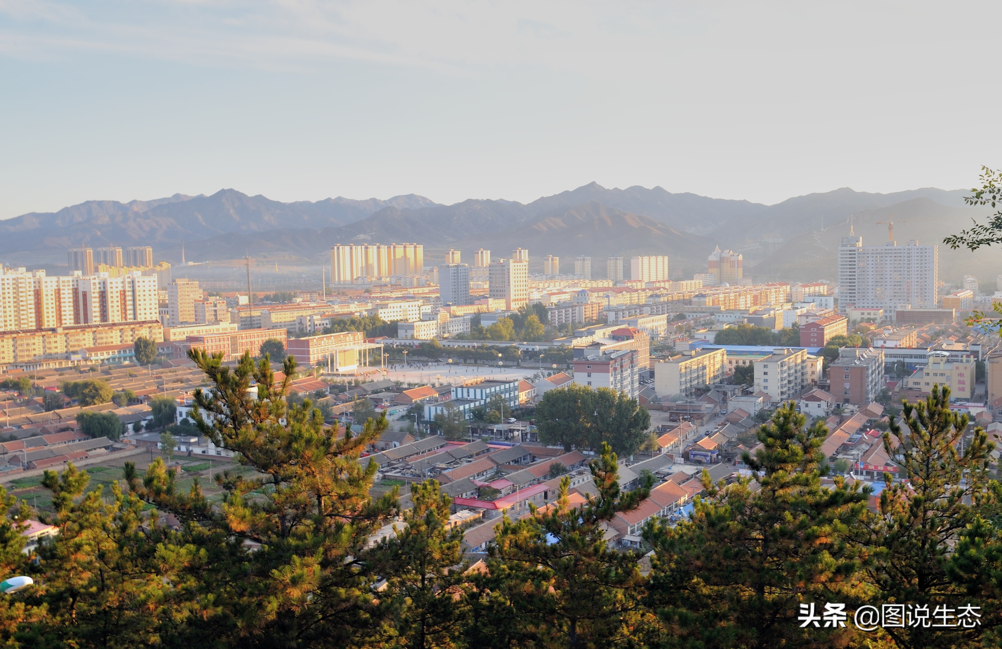 20年风雨治沙路，绿水青山秀丰宁