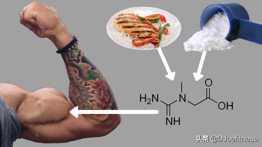 健身肌酸补剂原理,健身补剂肌酸和左旋肉碱