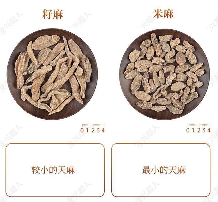 达州道地药材天麻,正宗中药材天麻