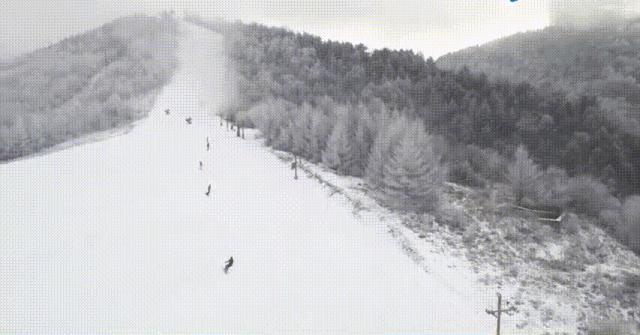 春节看雪旅游3-4天攻略最佳线路,武汉人五一适合去哪旅游