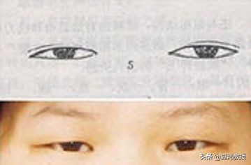 最美的眼睛形状,眼睛是什么样的形状才好看