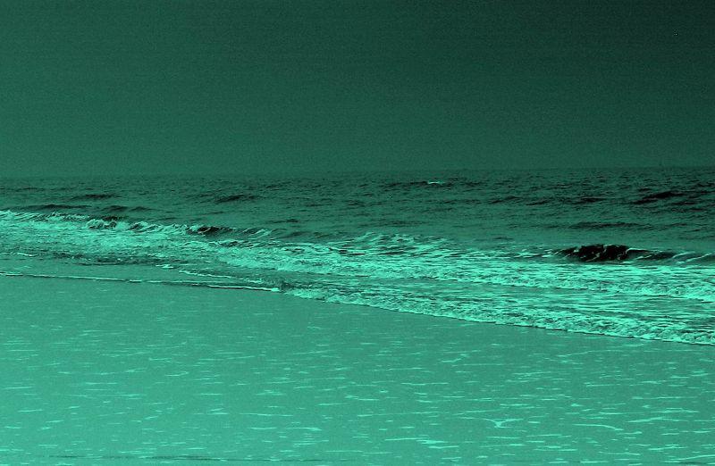 明军在安南全军覆没,朱棣大怒明军打安南