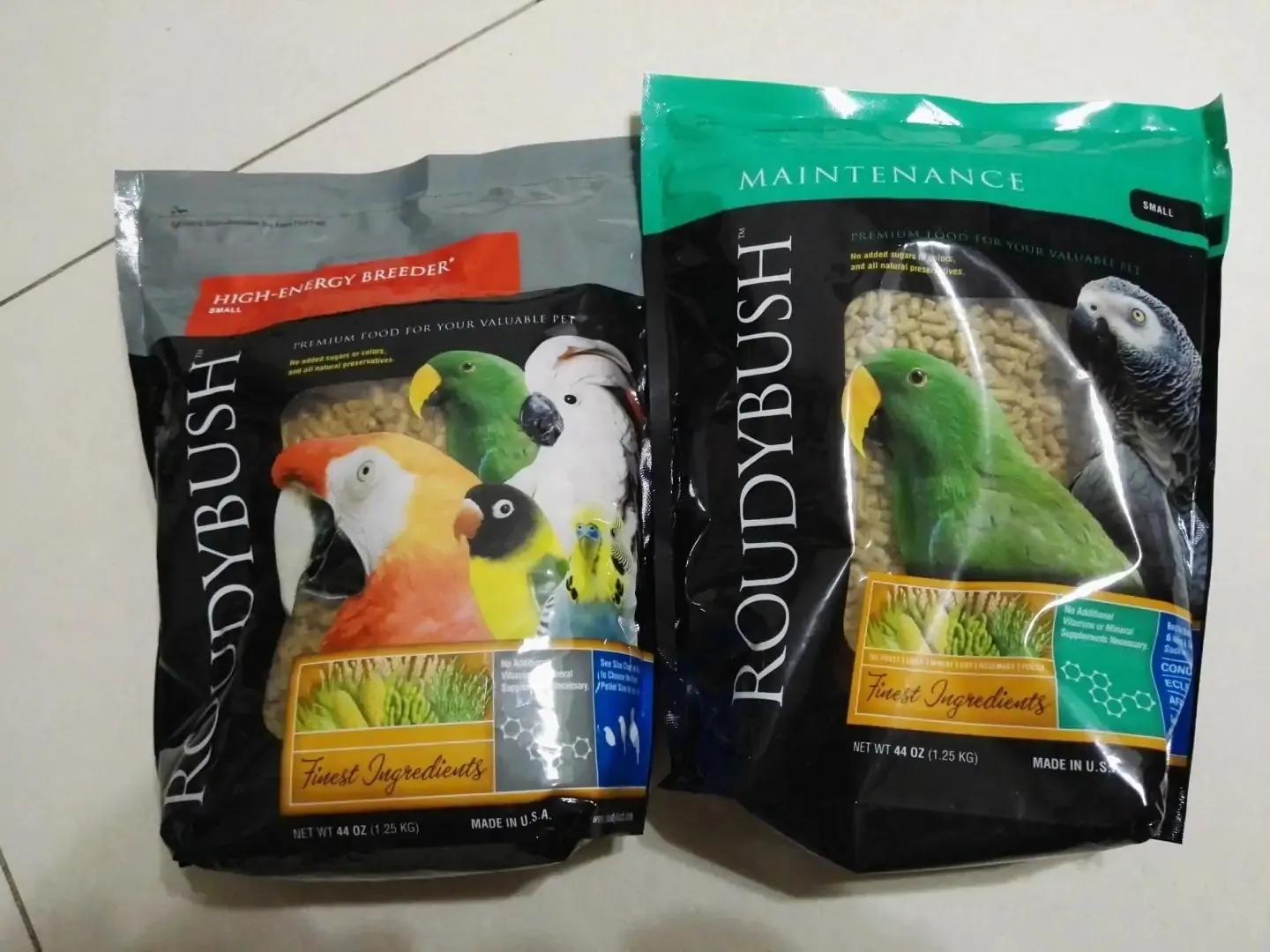 家里飞来灰鹦鹉怎么办,怎么能饲养灰鹦鹉