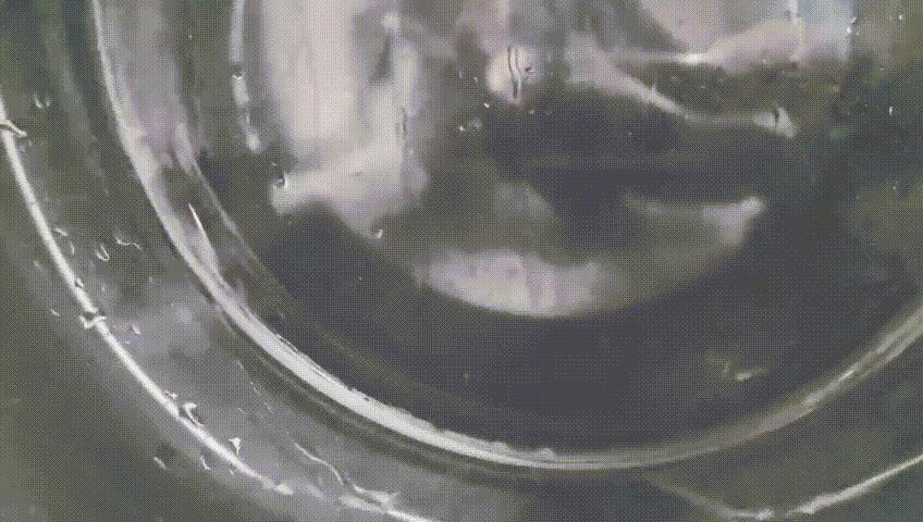 海尔洗烘一体机fpa直驱电机型号,海尔直驱变频洗烘一体机