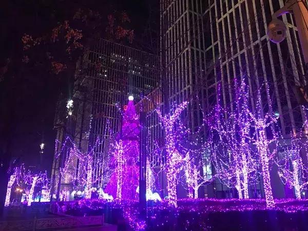 北京有个“小巴黎”！这个周末，趁景美人少赶紧去！