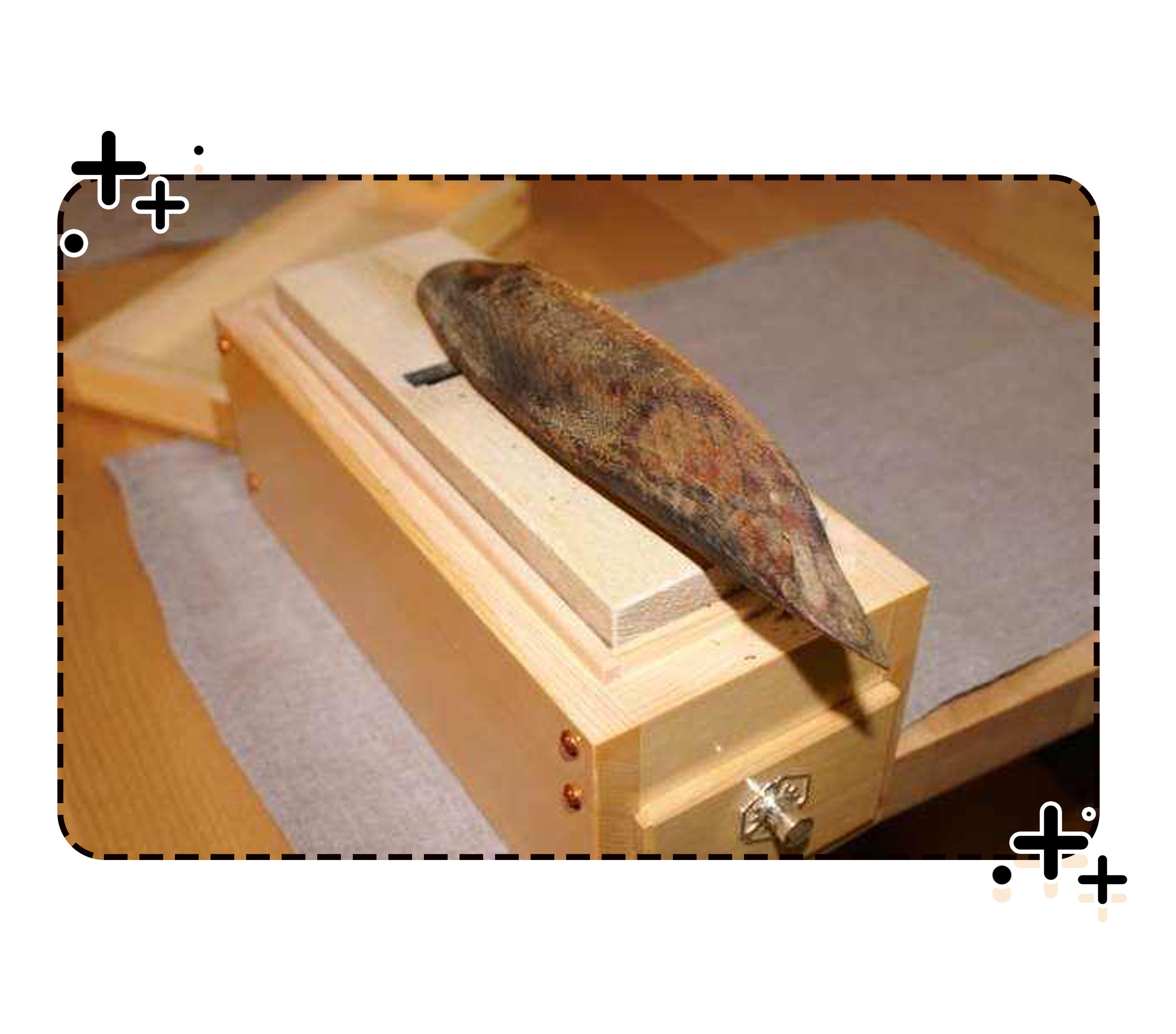 力压法棍和黑面包的世界最硬食物,柴鱼到底是个啥?(菲李漫画)