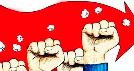 国货品牌自救,国货自救启示