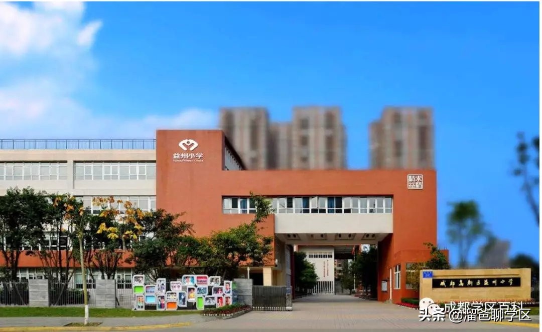 大源片区小学排名,高新区大源片区学校排名
