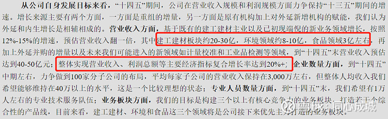 国检集团的未来,国检集团深度分析