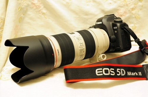 佳能ef70-300mmf4-5.6镜头测评,佳能单反相机镜头分类图解