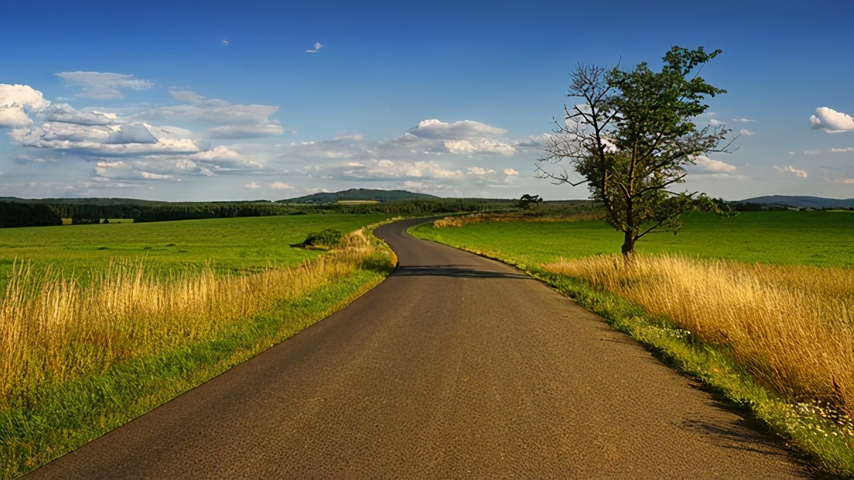 化妆品公认有效的植物提取物,化妆品中草本提取物是真的吗