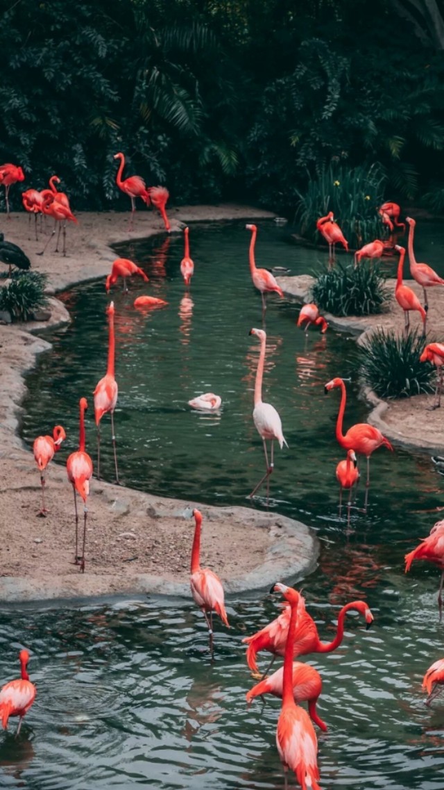 好看的微信聊天背景图男生,微信聊天背景图超清苹果