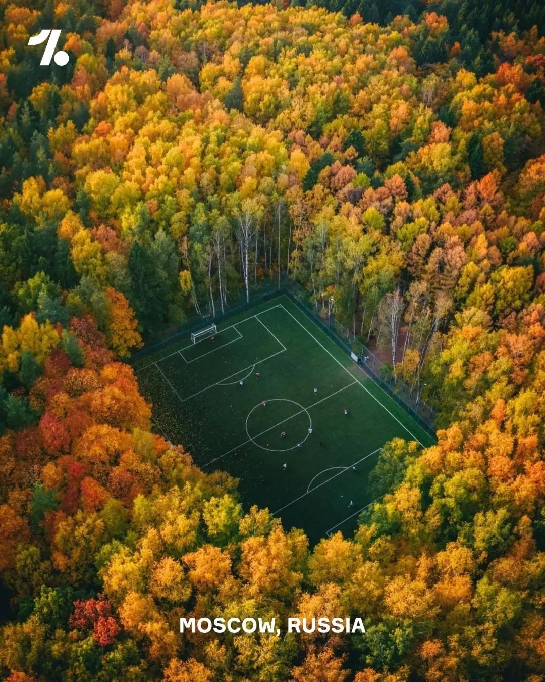 如果可以你想去哪里打球,如果可以你最想去哪里