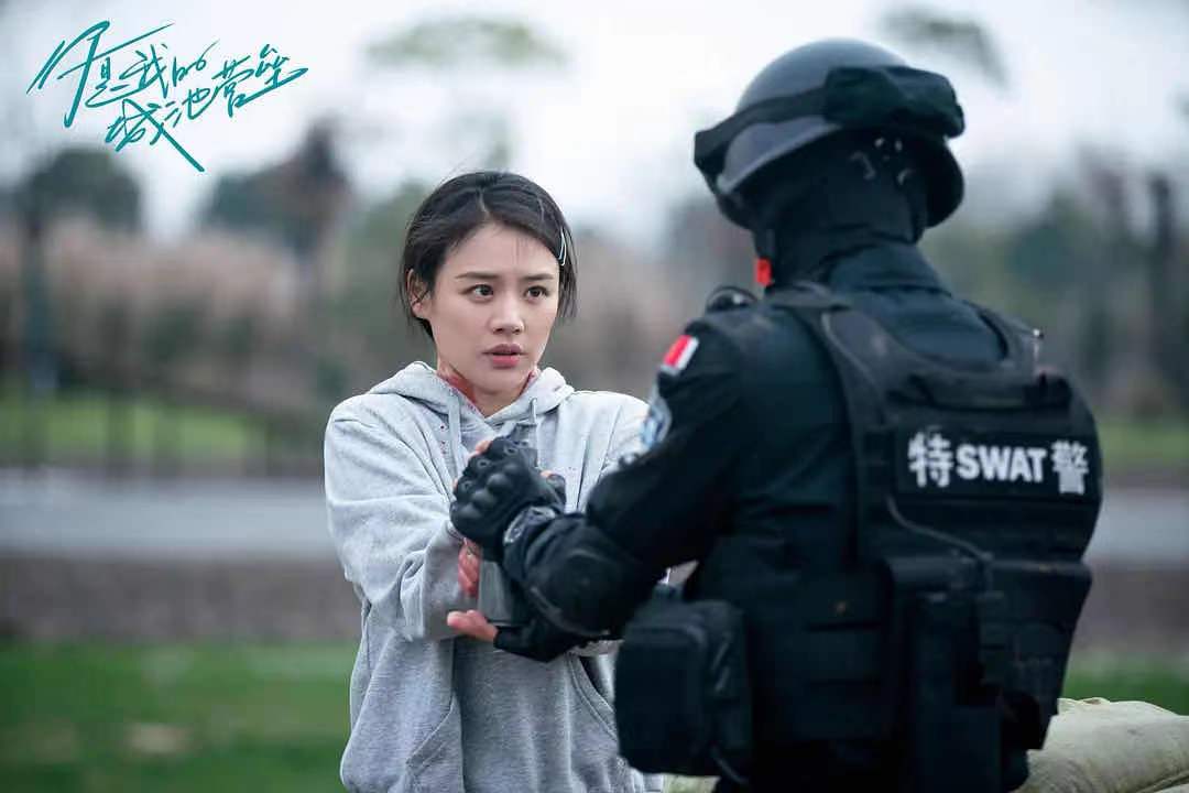 锦心似玉山河令电视剧哪部好看,山河令和锦心似玉哪个好看