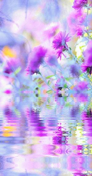 神秘的水中花,趣味神奇的水中花