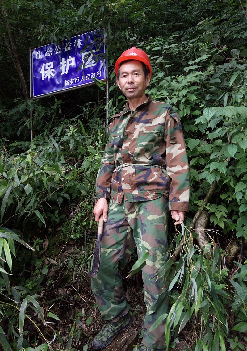 广西护林员要做什么,广西招募护林员