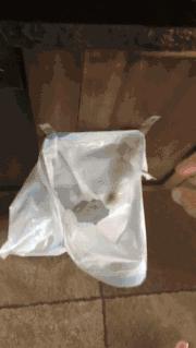 搞笑时刻心情变好,搞笑时刻大家开心就好