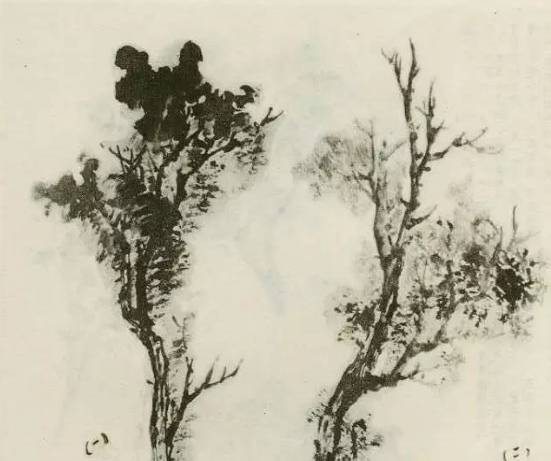 画树教程,怎么画树好看又超级简单