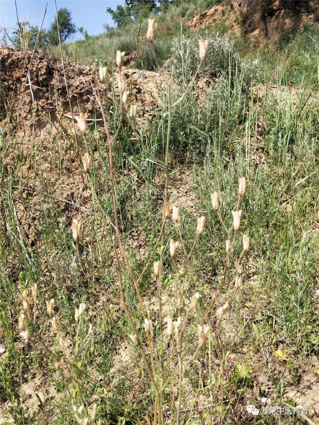 跟我回家在线免费看,跟我回家免费看