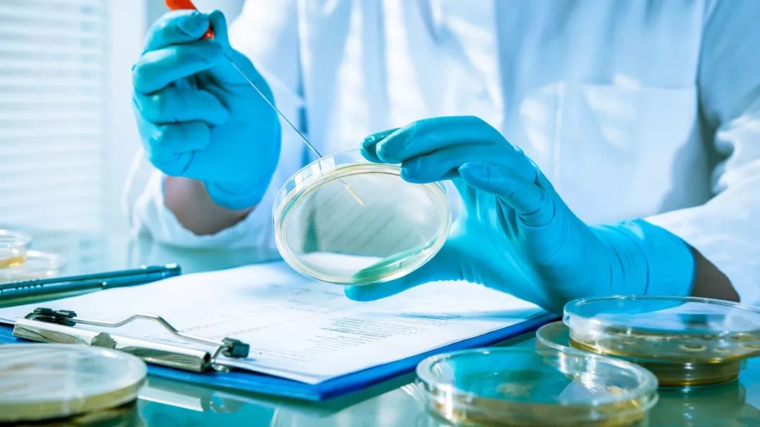 纠正偏差管理,偏差管理规程