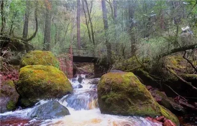 去兰坪旅游值得逛的地方,去了一次就喜欢的城市