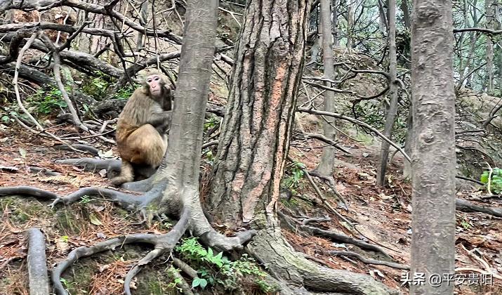 越来越嚣张了怎么办,越来越嚣张怎么解决