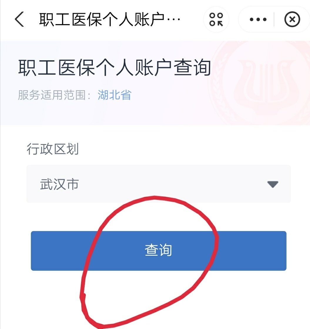 支付宝医保查询缴费记录,武汉医保查询方法支付宝