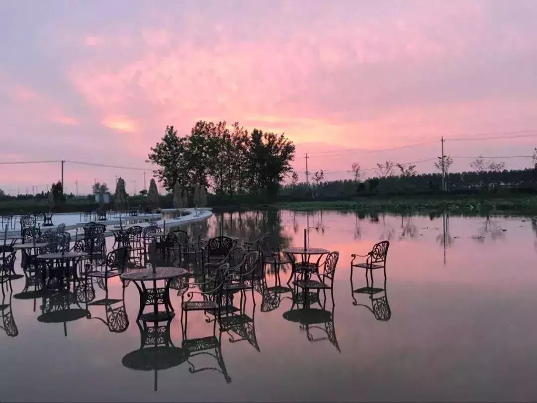 金湖荷花荡图片,金湖荷花荡介绍