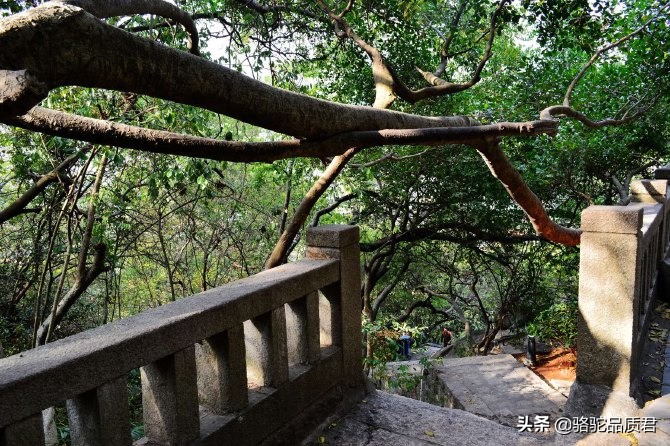 厦门海边之旅,厦门小众旅游体验