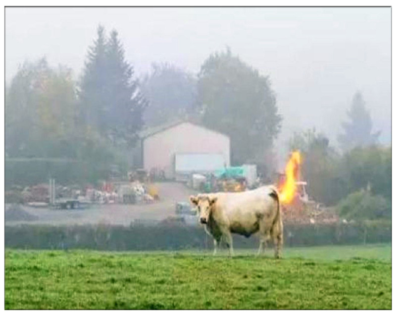 导致全球变暖的罪魁祸首,全球变暖的主要罪魁祸首是什么