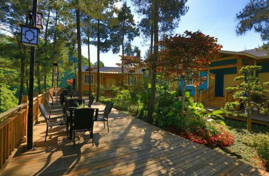 遵义最美乡村旅游图,遵义周边乡村旅游的地方