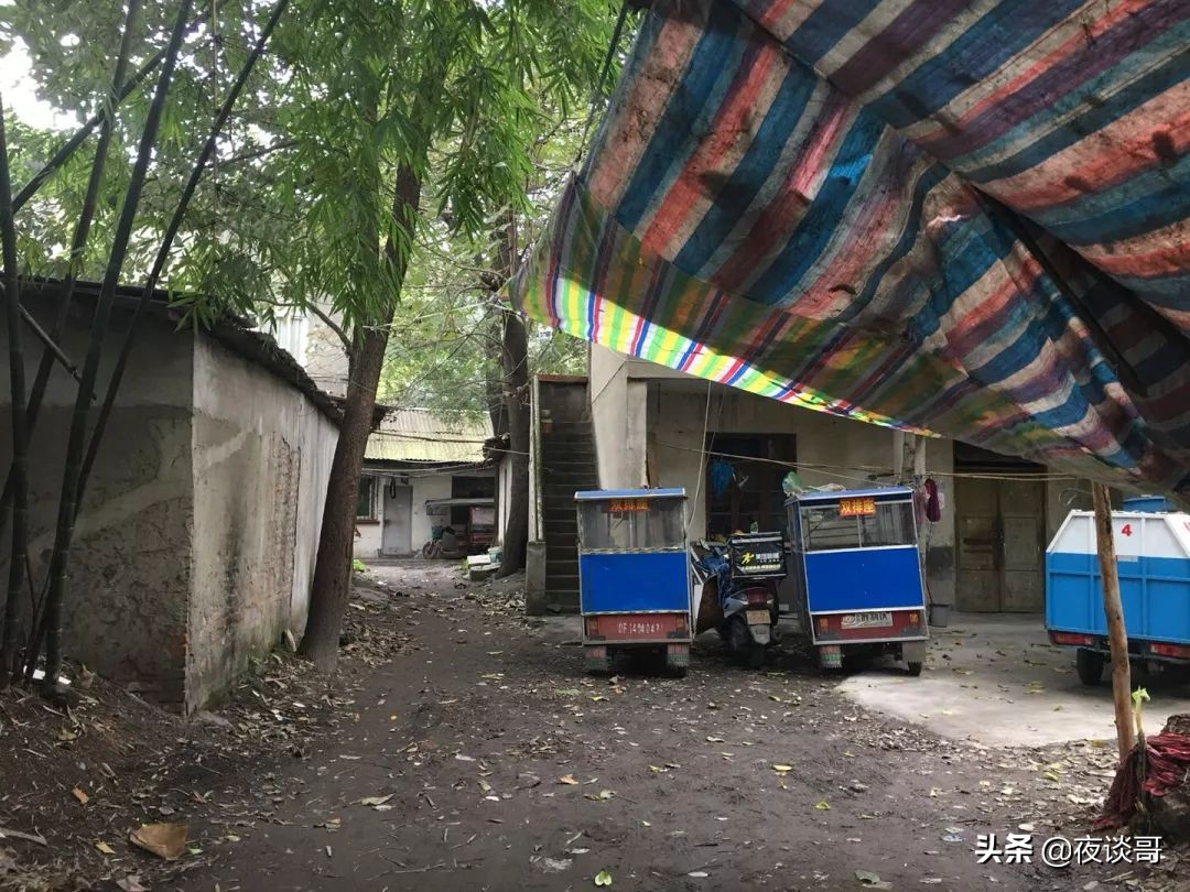 来成都感受这里的慢生活,来成都一年的感受