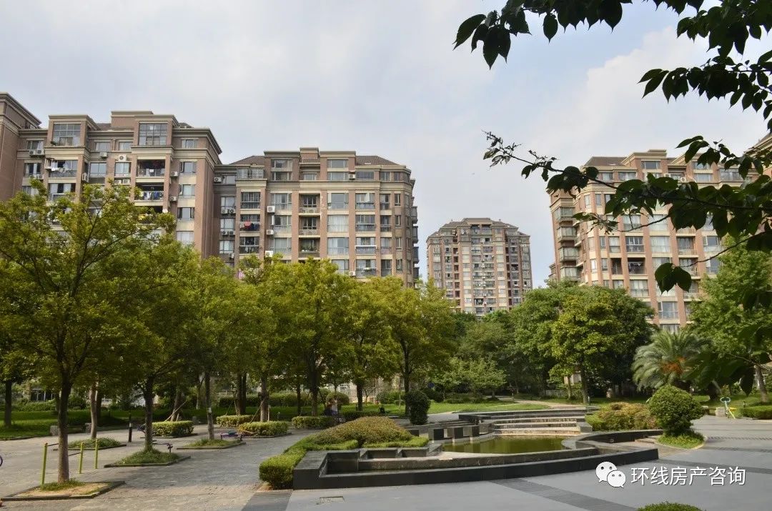 金桥近几年走势,金桥最新消息今天