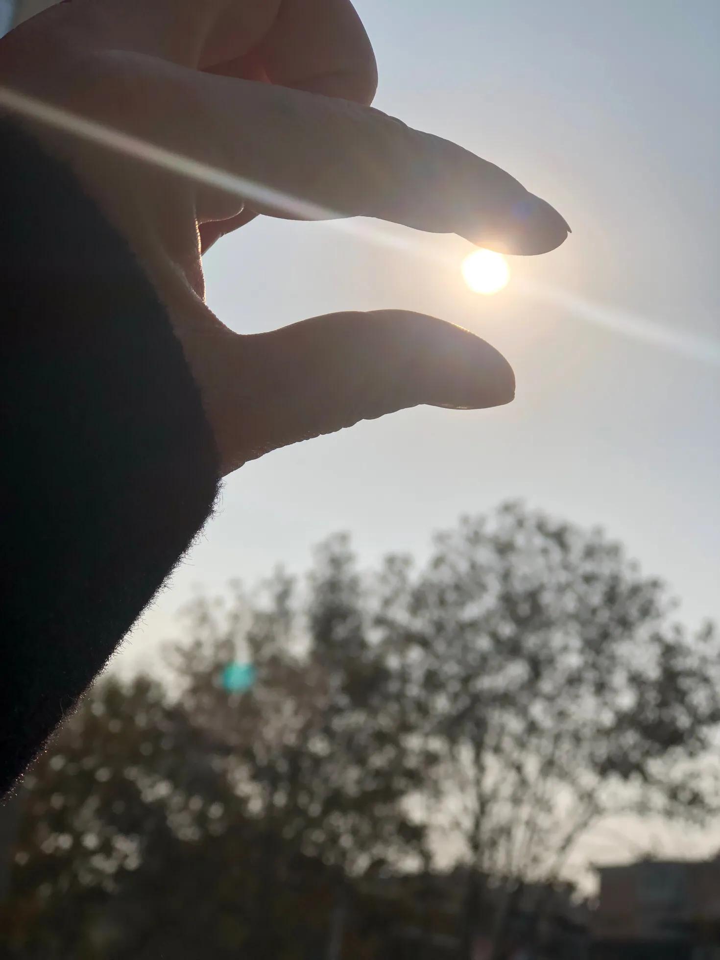 岁月静好安之若素下一句,岁月静好安之若素是谁说的