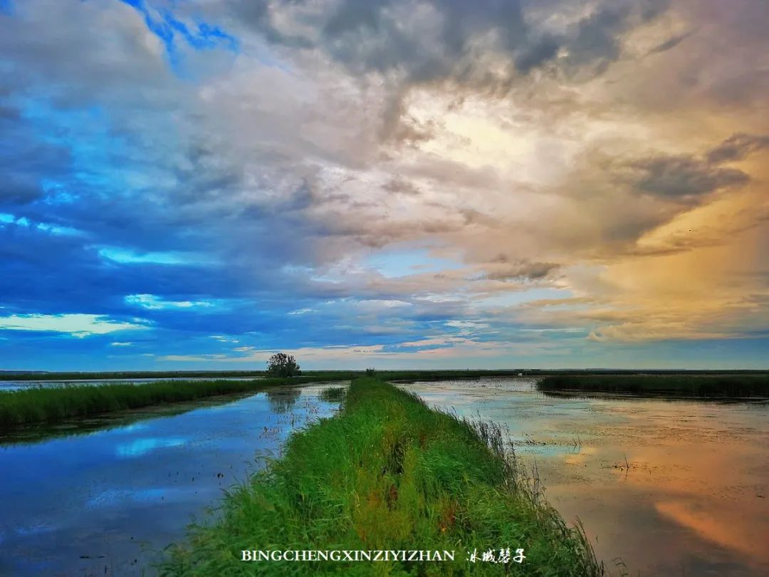 再返富锦，为着那份飘着稻花香的“湿”意约定
