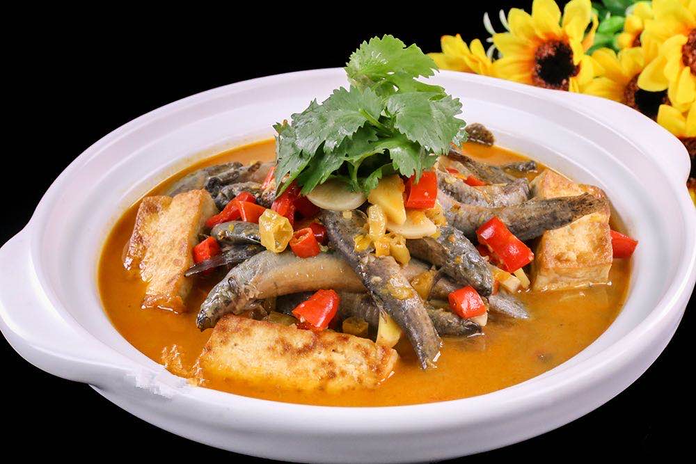 泥鳅鱼肉含元素多,泥鳅鱼胶原蛋白含量高吗