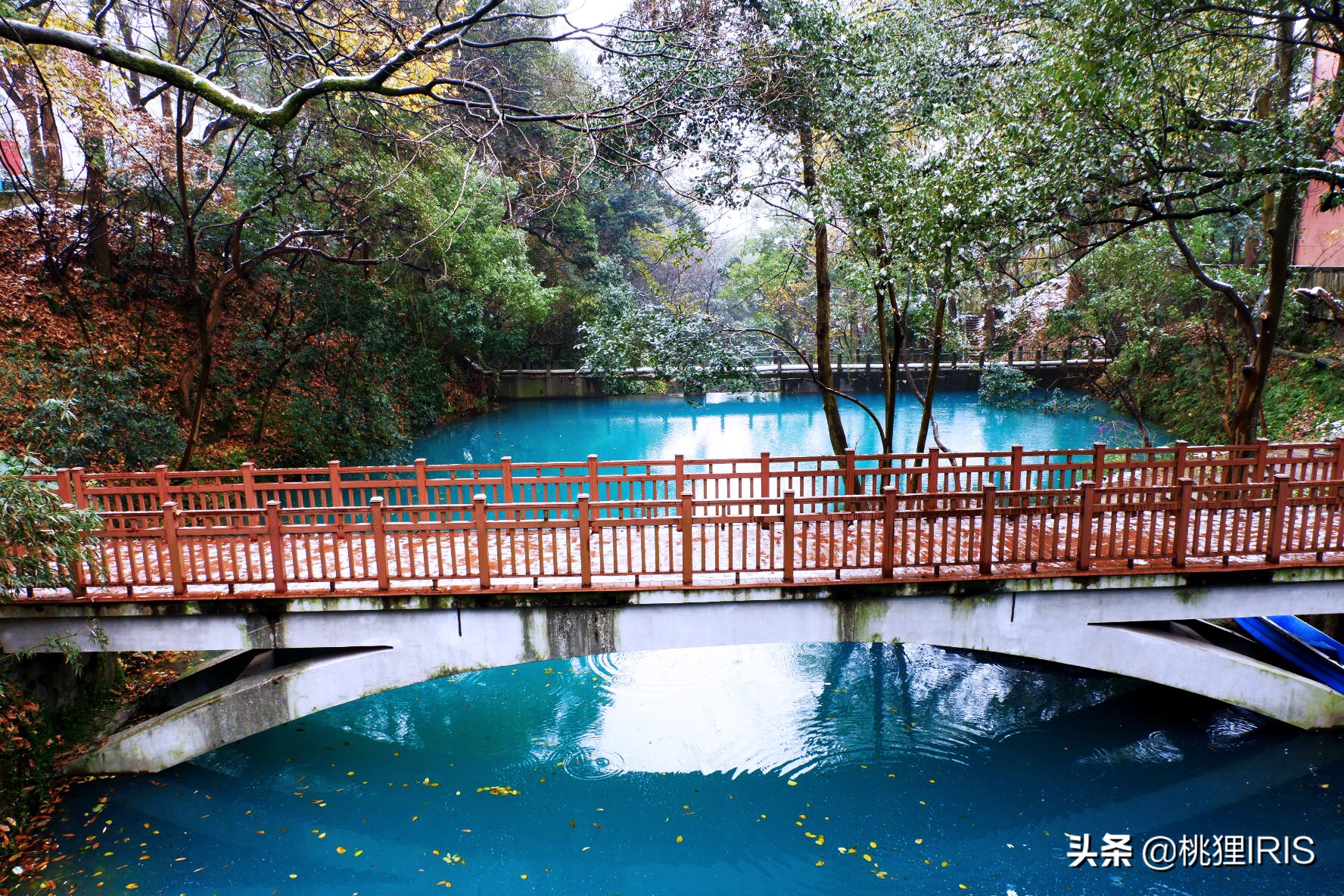 浙江大学钱塘江校区,看浙大钱塘江之江校区视频