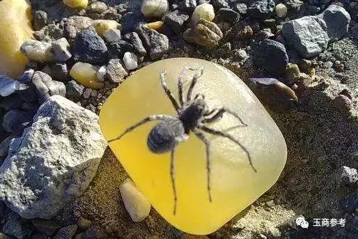 石英质岩玉是什么玉石,石英质岩玉是不是玉