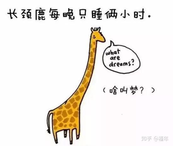 想象中不一样的动物冷知识,悲伤的动物视频